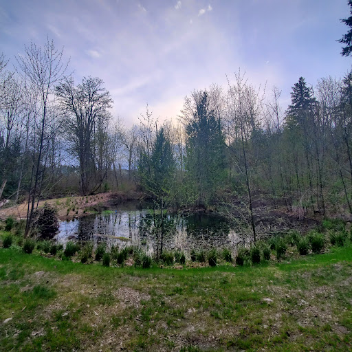 Smith Woods - Visual