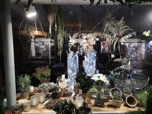 BLUMEN Klemm & Esterbauer - Thumbnail
