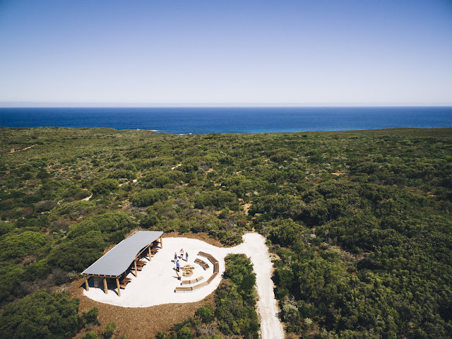 Koomal Dreaming by null