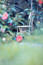 Photo n°21 de Patio des Rêves - Chambre et table d'hôtes dans le Gers à Aujan-Mournède (Chambre d'hôtes)