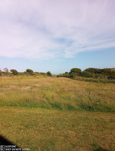 Honey Lane Camping and Caravanning - Thumbnail