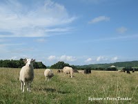 スピナーズファーム タナカ
