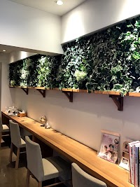 SAKURA Beauty rivage 【サクラビューティーリバージュ】