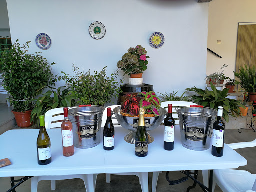 Bodegas Delgado Collado