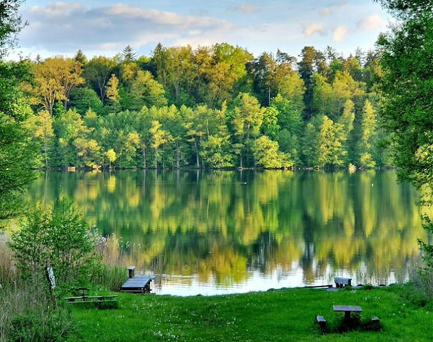 Opinii despre Pole Namiotowe Ugorek Tuczno Wypożyczalnia sprzętu wodnego în Choszczno - Pole kempingowe