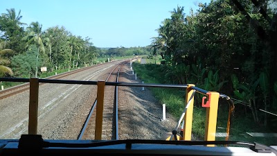 Photos of Wojo