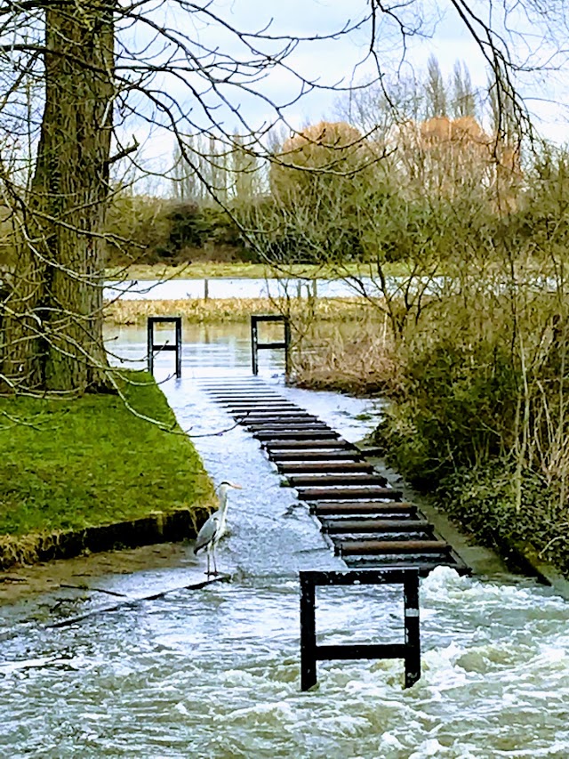 Oxford University Parks