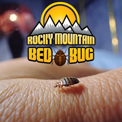 Rocky Mountain Bedbug