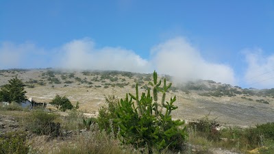 Photos of La florida
