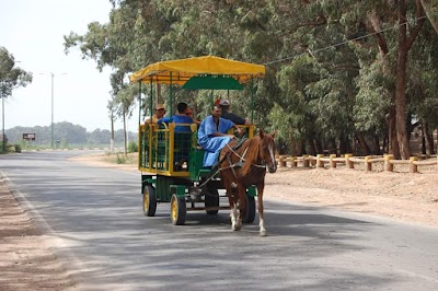 Photos of Agadir Discovery Tours & Excursions