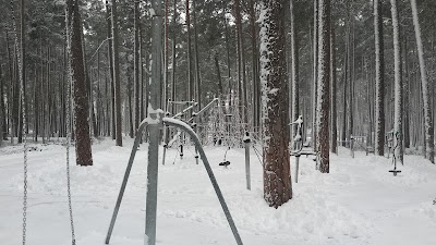 Photos of Dzintaru mežaparks