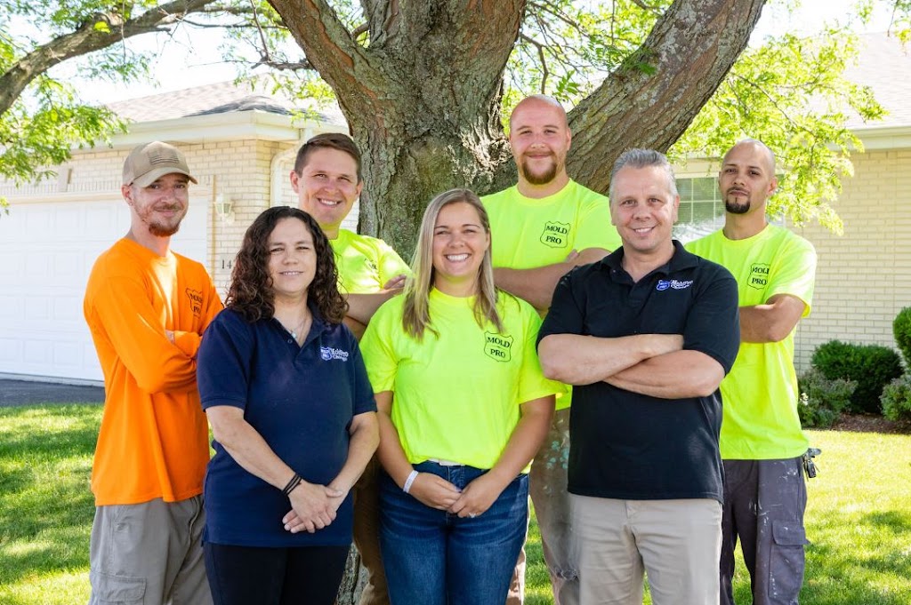 Mold Pro Chicago photo