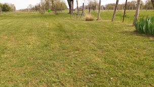 Photo n°4 de Nicolas Boulanger à Estivaux (Siège social)