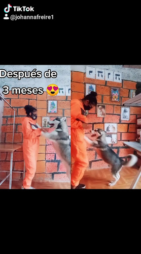 Peluqueria Canes con Estilo