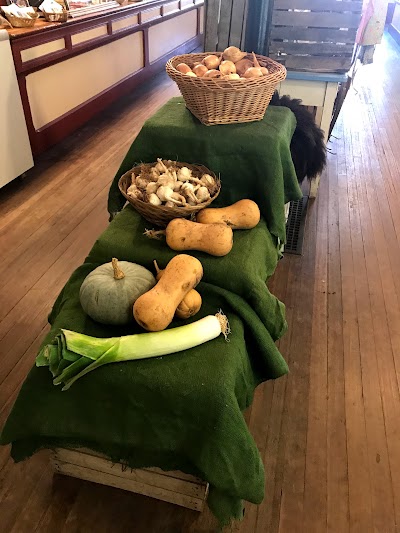 Photos of Lucky Dog Farm Store
