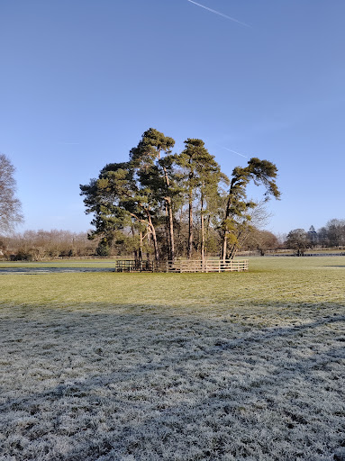 Trinity Park Stud - Visual