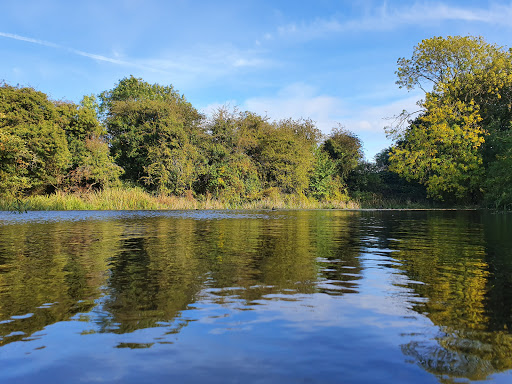 West Park Meadow Nature Reserve - Thumbnail