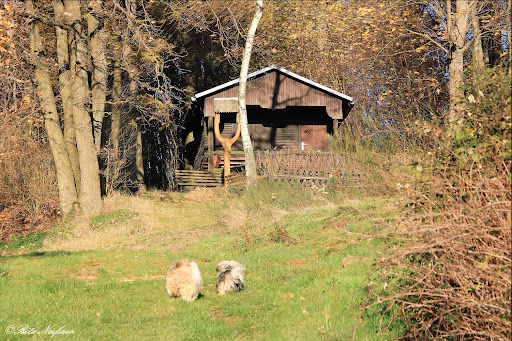 Heimatblick - Thumbnail