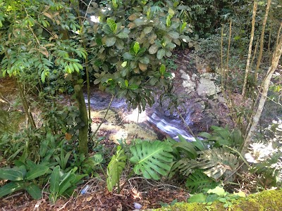 Photos of Pico da Tijuca