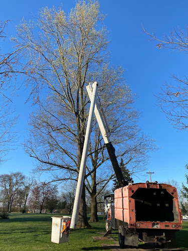 Don's Tree Services