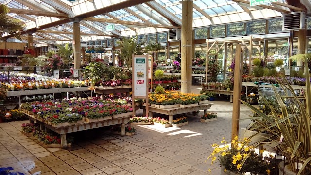 Botanic