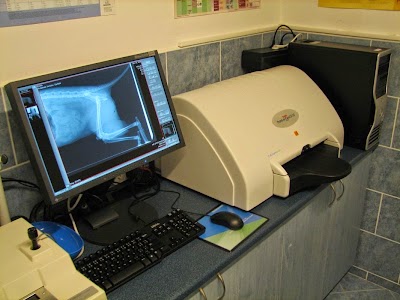 Photos of Jicin - VET Ltd.