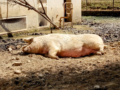Agripunk ONLUS - Thumbnail