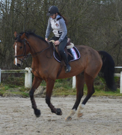 Club Equestrian St Julien - Thumbnail