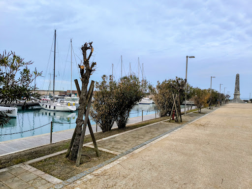 Molo Sud Marina di Pisa - Thumbnail