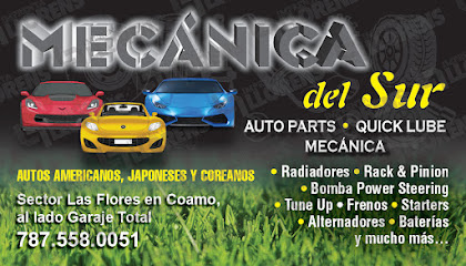 Foto de Mecanica Del Sur