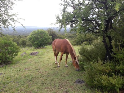 Photos of Paraiso de las Chacras