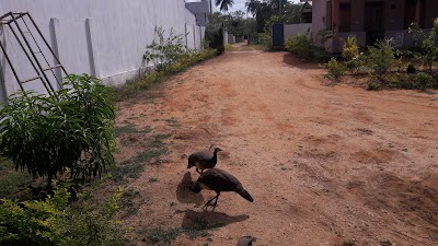 Photos of Serendib Hotel Nilaveli