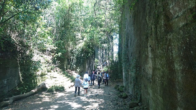 Nokogiriyama