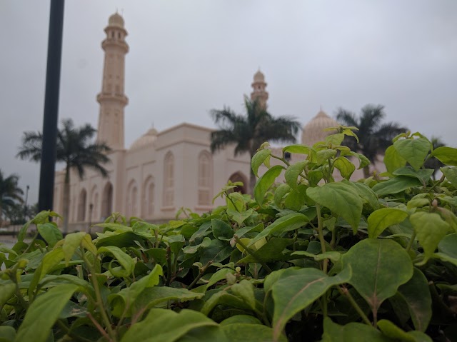 Sultan Qaboos Mosque