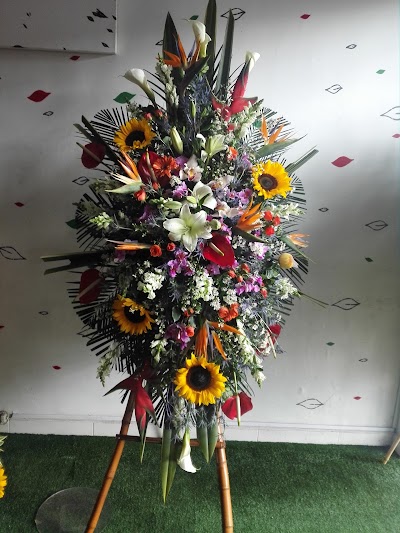 Photos of D&iacute;galo con Flores