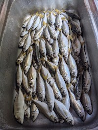 海の隠れ家キャンプ場