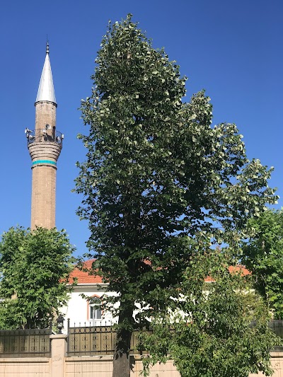 Merkez Yeni Cami