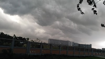 university