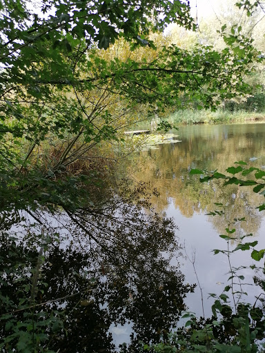 Heemtuin 'De Dwarsgouw' - Thumbnail