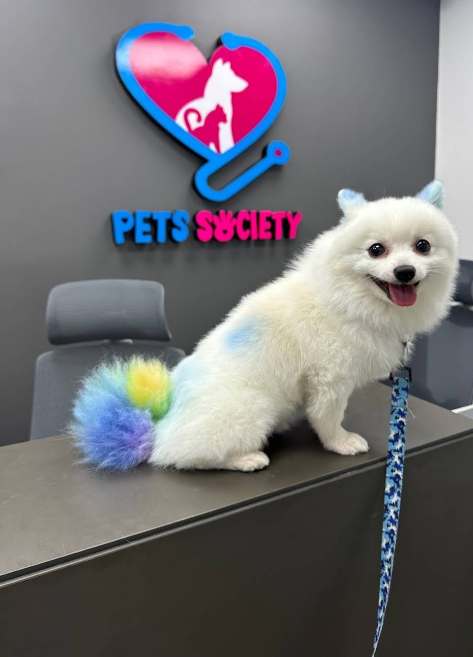 SaBB Veterinary Clinic and Laboratory - صورة 3