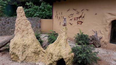 Photos of Straubing Zoo