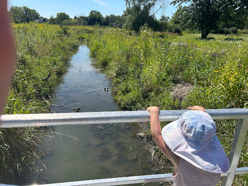 Pederson Nature Preserve - Thumbnail