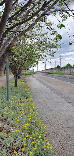 Constitution Hill, North West Twy - Thumbnail