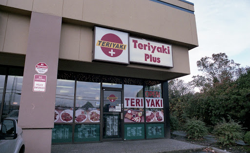 Teriyaki Plus - Visual