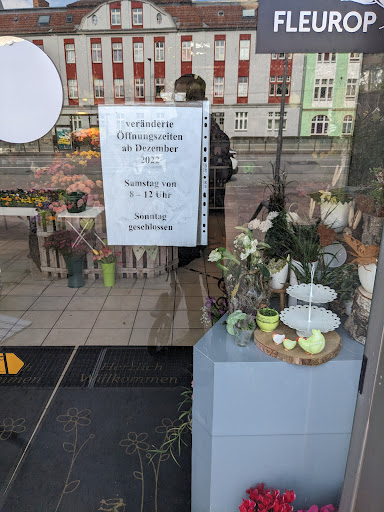 Blumen Hettmann - Thumbnail