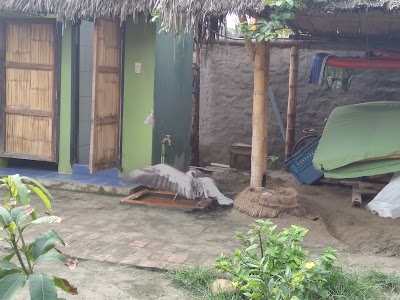 Photos of Camping Iguana