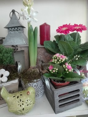 Virág és ajándékbolt, Author: Dénesné Csőke