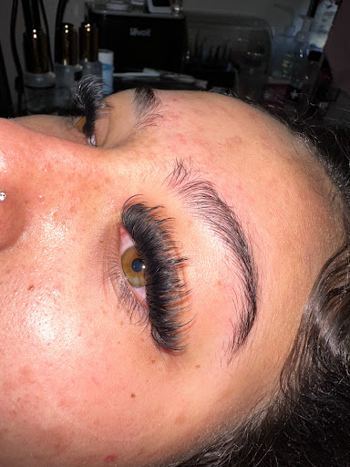 The Lash Obsession Gallery - United States