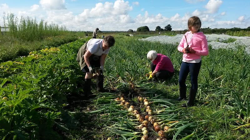 Burscough Community Farm CIC photo 2