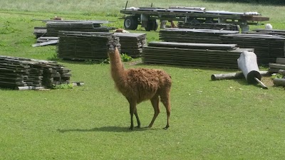 Photos of Hainich National Park